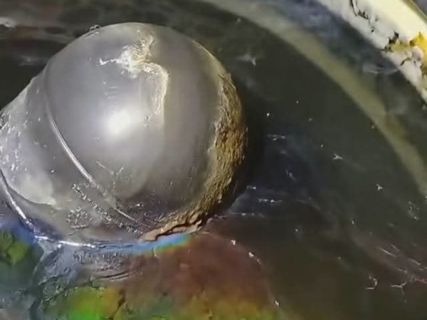 Crisis por agua contaminada golpea a Guadalajara; ciudadanos exigen una&nbsp;solución